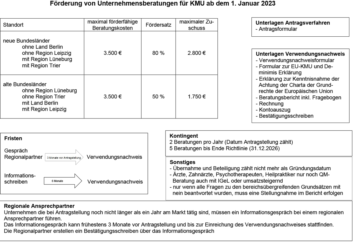 Beratungsfoerderung Schaubild